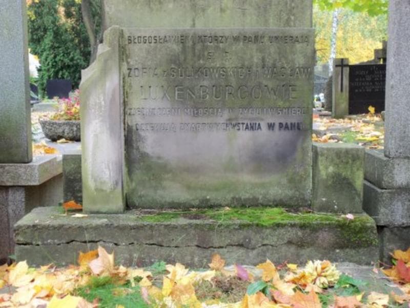 Zdjęcie grobu Zofia Luxenburg (2)