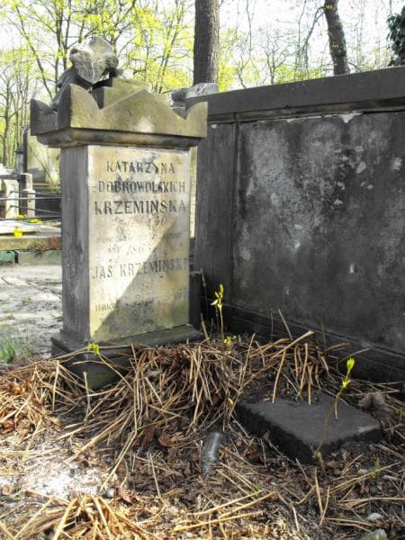 Zdjęcie grobu Jaś Krzemiński (1)