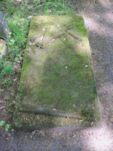 Zdjęcie grobu Marja Targońska (2)