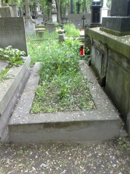 Zdjęcie grobu: Mieczysław Matejak