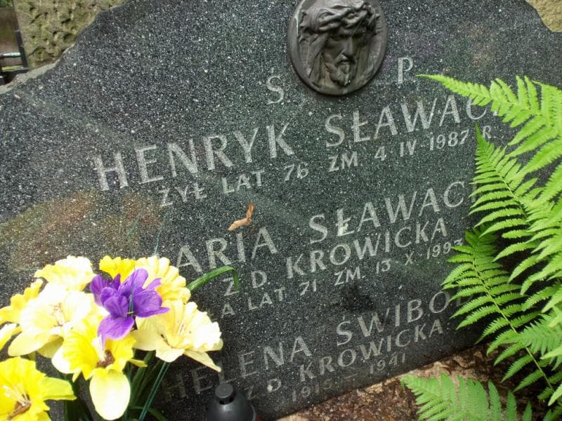 Zdjęcie grobu Henryk Sławacki (2)