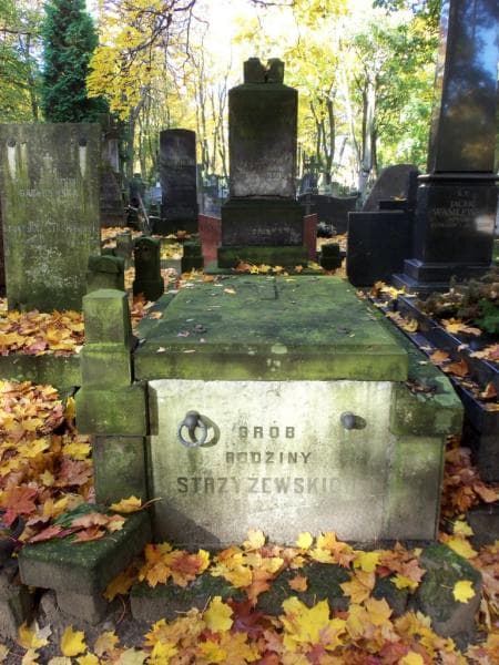Zdjęcie grobu: Adam Strzyżewski