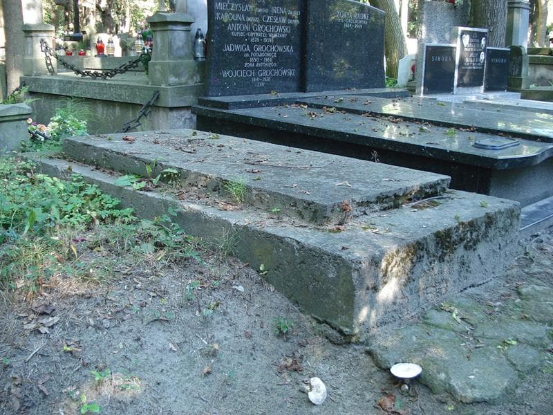 Zdjęcie grobu Eugenia Brutkowska (1)