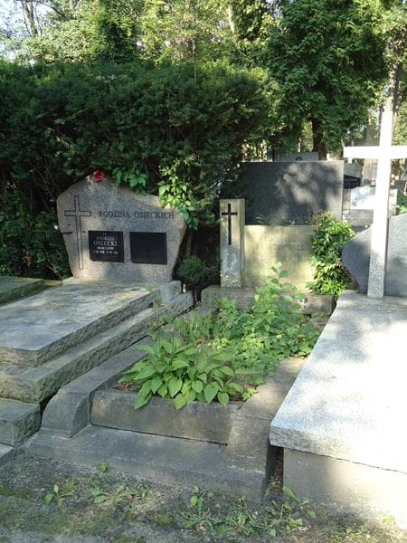 Zdjęcie grobu Stanisław Bogatkiewicz (1)