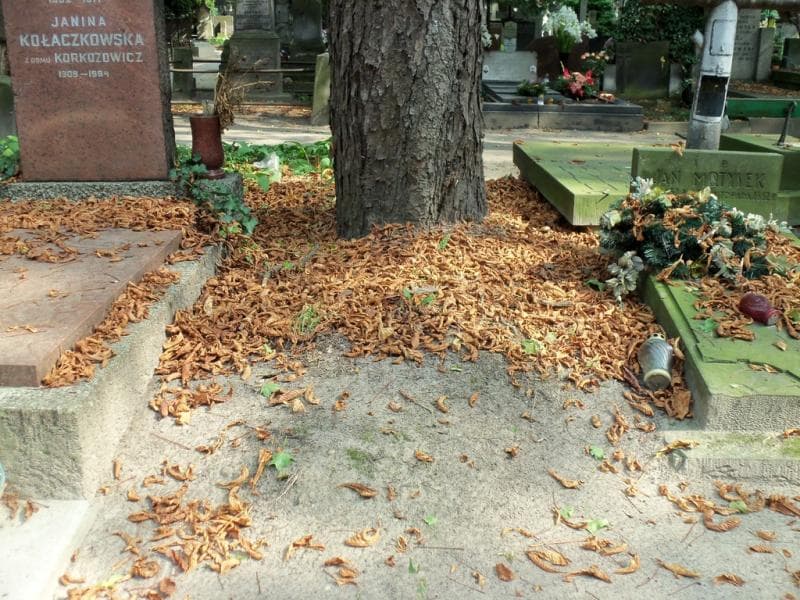 Zdjęcie grobu: Pole Grobowe