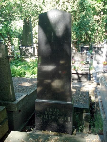 Zdjęcie grobu Cholewiccy (1)
