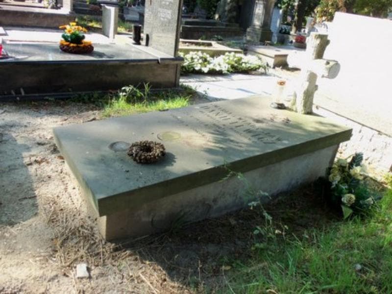 Zdjęcie grobu Władysław Danielewicz (1)