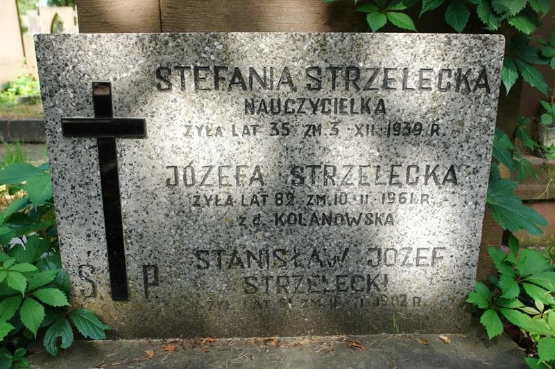 Zdjęcie grobu Józefa Strzelecka (2)