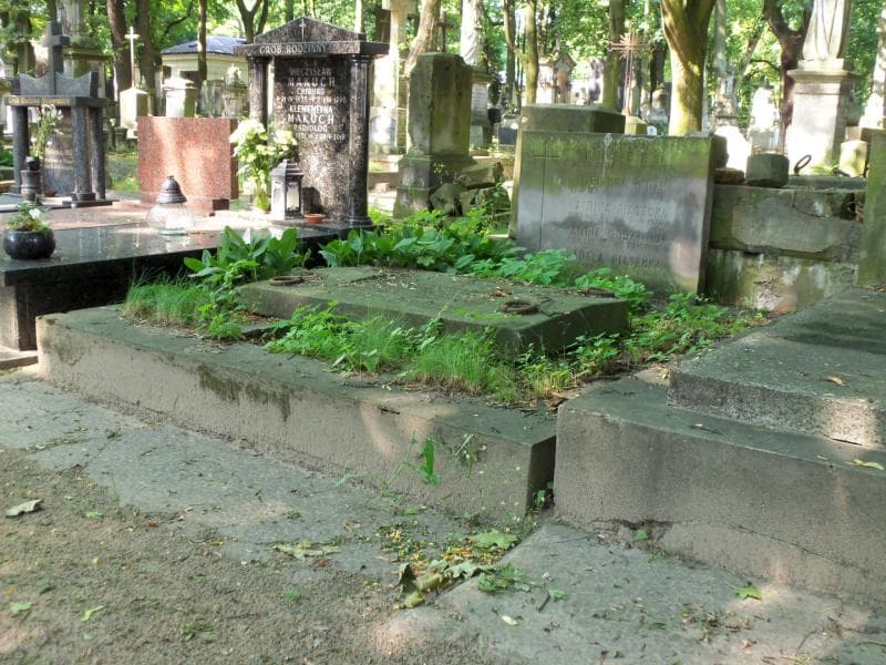 Zdjęcie grobu Halina Gosztowt (1)