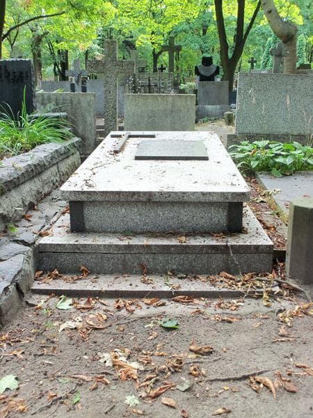 Zdjęcie grobu: Mieczysław Bibrowski