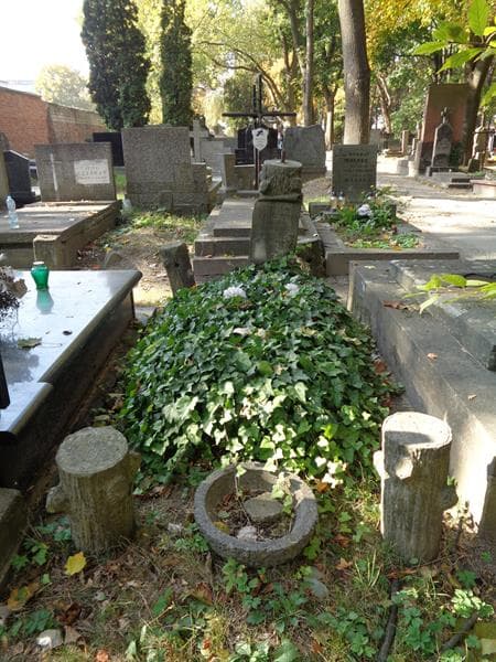 Zdjęcie grobu Stanisław Waligórski (1)