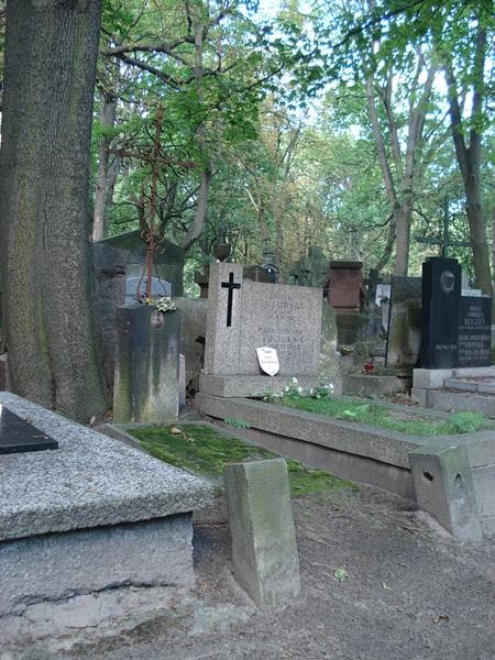 Zdjęcie grobu Stanisław Matawowski (1)