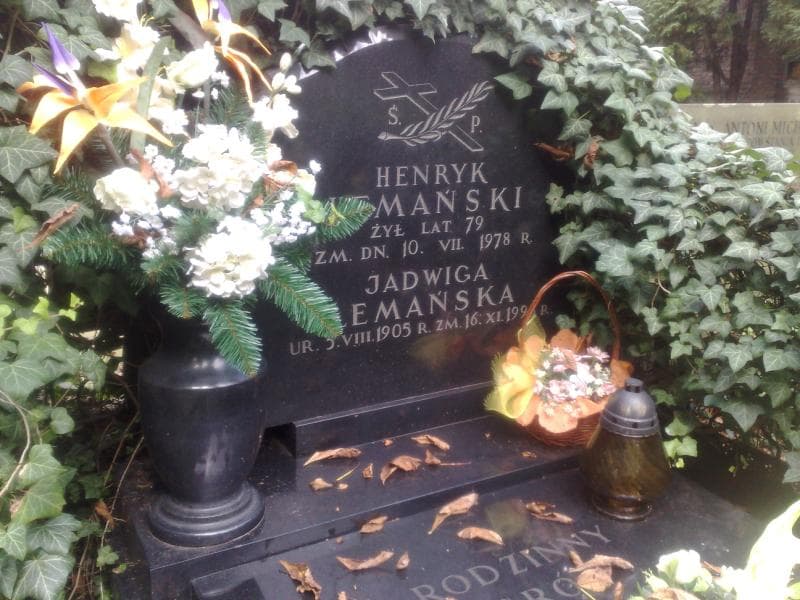 Zdjęcie grobu Henryk Lemański (1)