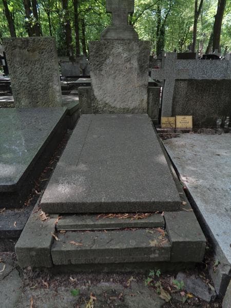 Zdjęcie grobu Henryk Heering (1)