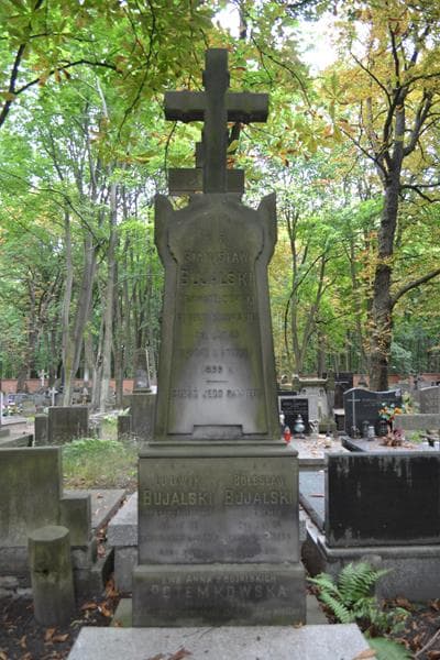 Zdjęcie grobu Ludwik Bujalski (2)