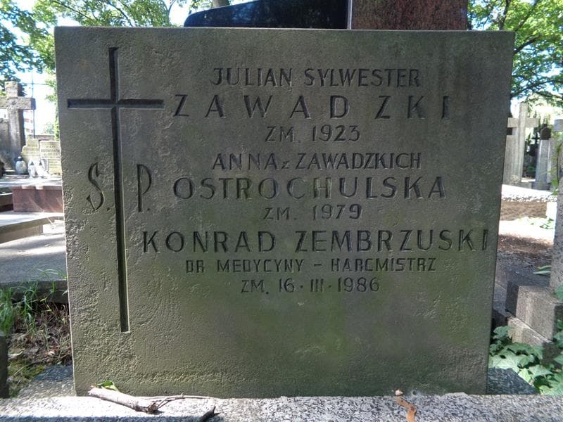 Zdjęcie grobu Konrad Zembrzuski (2)