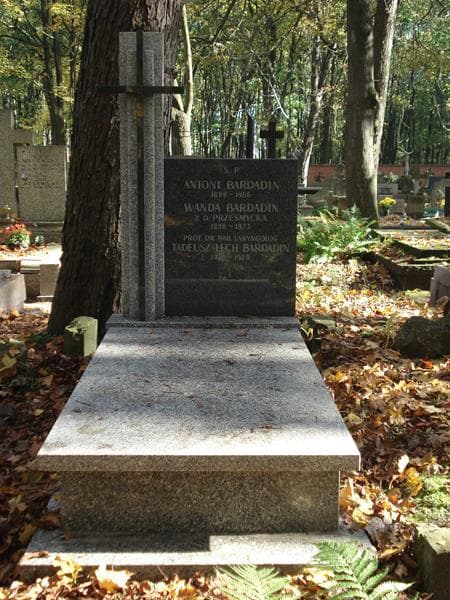 Zdjęcie grobu: Antoni Bardadin