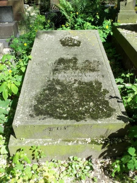 Zdjęcie grobu Karol Nowicki (2)