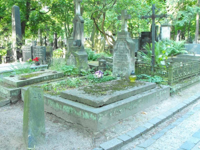 Zdjęcie grobu Władysław Zdanowicz (1)