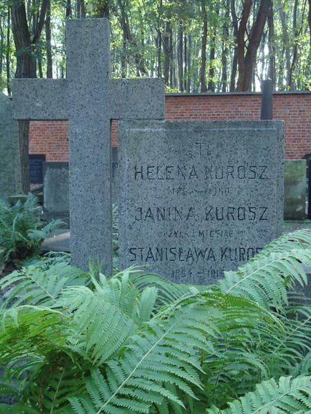 Zdjęcie grobu Janina Kurosz (2)