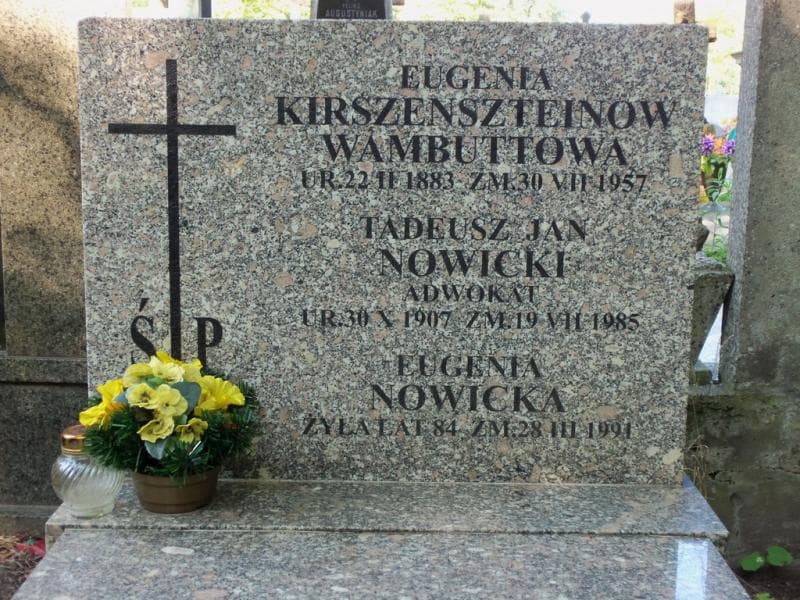 Zdjęcie grobu Tadeusz Jan Nowicki (2)