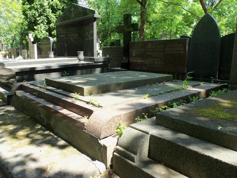 Zdjęcie grobu Hanna Barbara Gołaszewska (1)