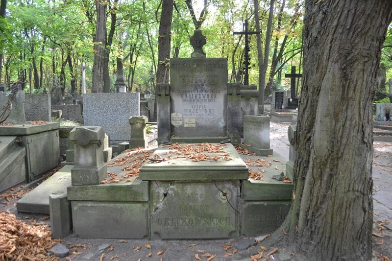 Zdjęcie grobu Stefan Karol Majewski (1)