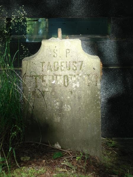 Zdjęcie grobu Tadeusz Stępkowski (2)