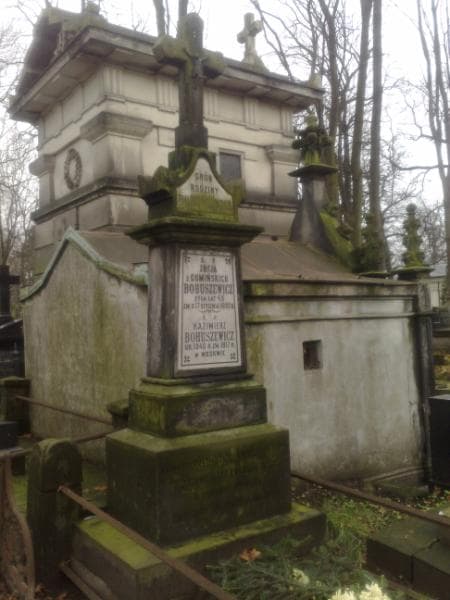 Zdjęcie grobu Witoldek Bohuszewicz (1)