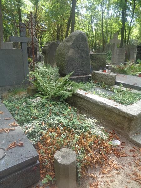 Zdjęcie grobu: Michał Walicki