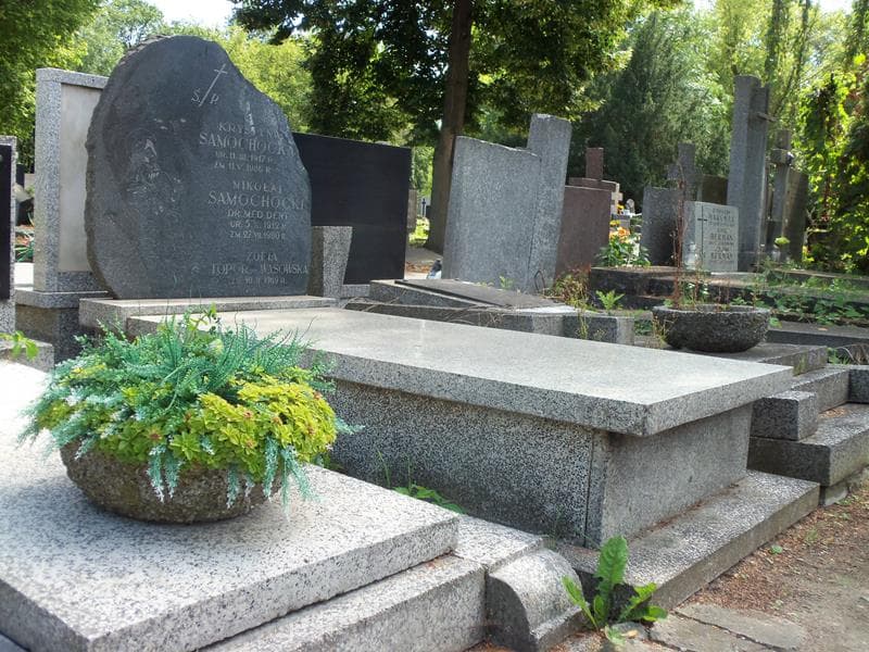 Zdjęcie grobu Zofia Topór Wąsowska (1)