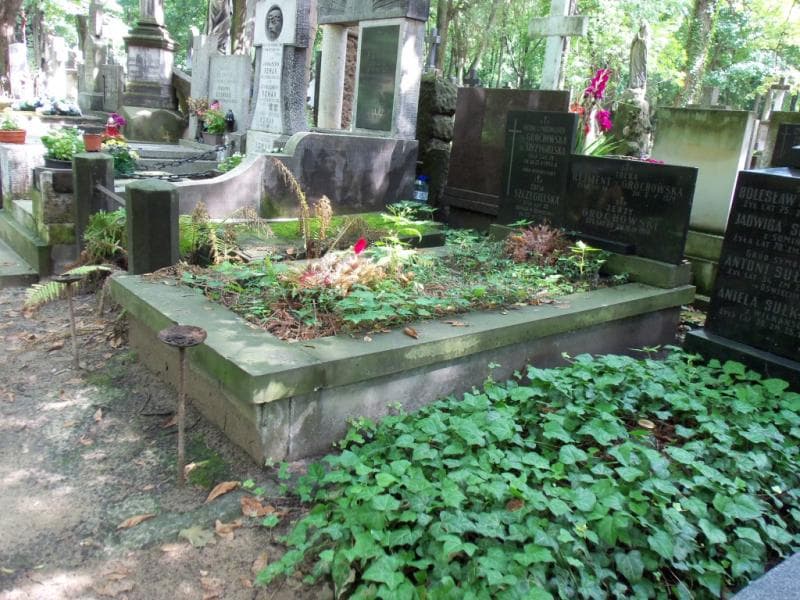 Zdjęcie grobu Zofia Szczygielska (1)