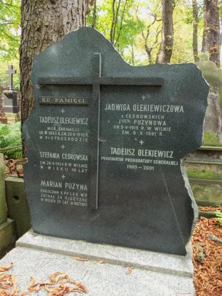Zdjęcie grobu Stefania Cedrowska (2)