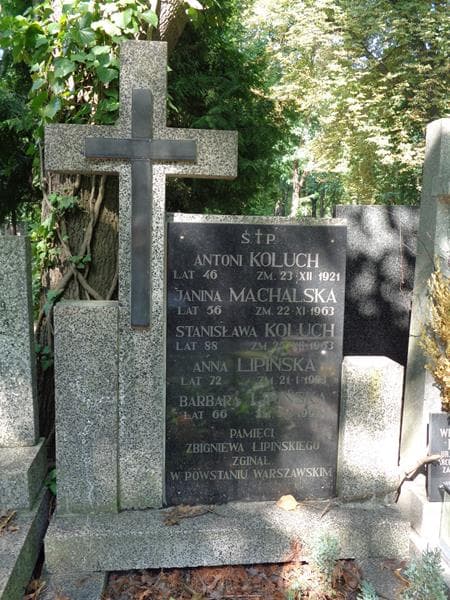 Zdjęcie grobu Janina Machalska (1)