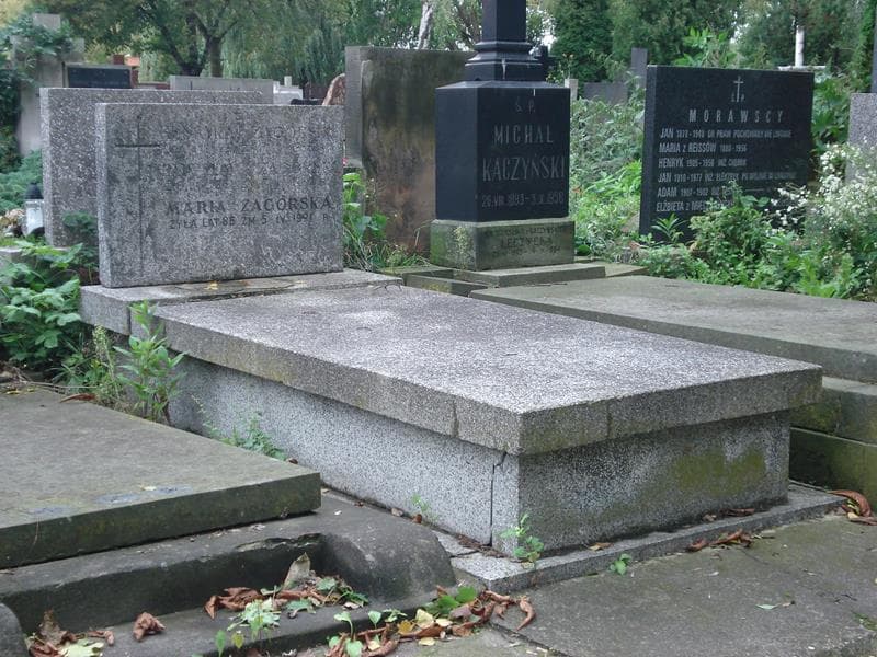 Zdjęcie grobu Henryka Zagórska (1)