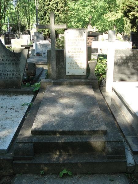 Zdjęcie grobu Andrzej Książeński (1)