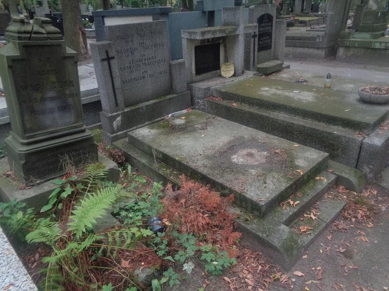 Zdjęcie grobu: Bronisław Traczyński