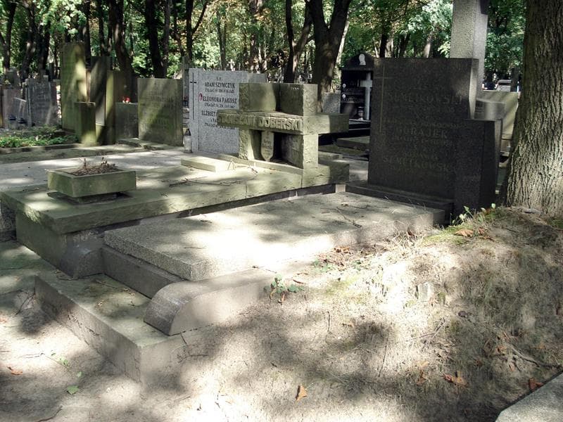 Zdjęcie grobu: Franciszka Gorajek
