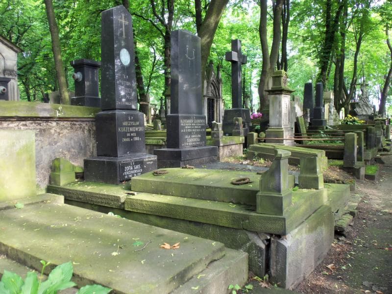 Zdjęcie grobu Otton Fiszer (1)