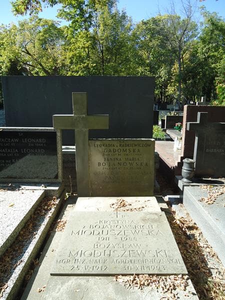 Zdjęcie grobu Janina Maria Bojanowska (2)