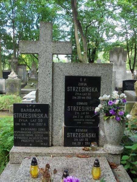 Zdjęcie grobu Edward Strzesiński (2)