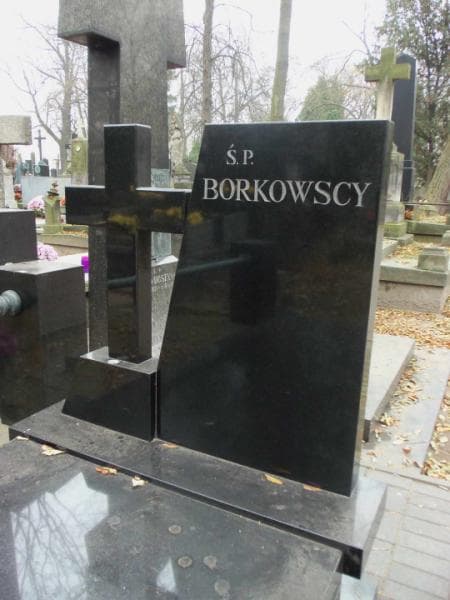 Zdjęcie grobu Borkowscy (2)