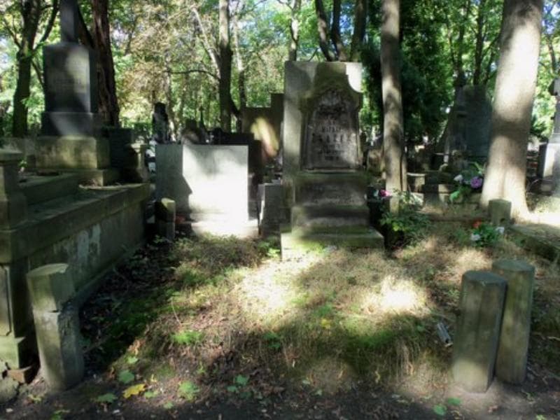 Zdjęcie grobu: Franciszek Drążek