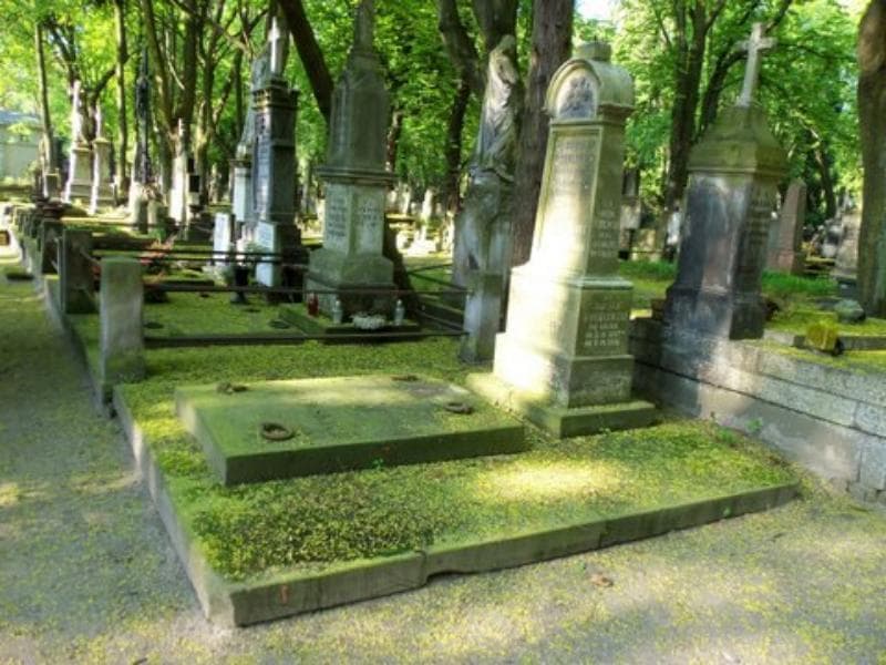 Zdjęcie grobu Stanisław Wróblewski (1)