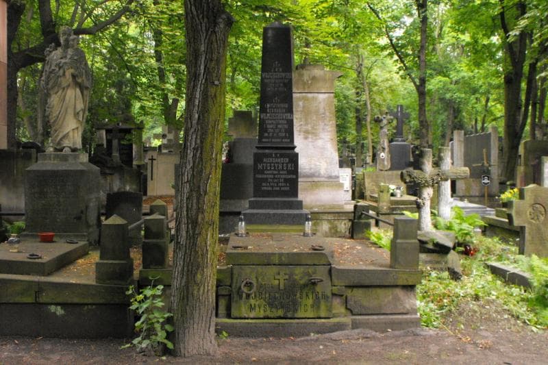 Zdjęcie grobu Aleksander Myszyński (1)