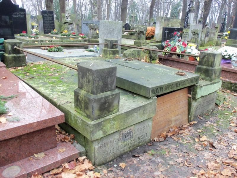 Zdjęcie grobu Erazm Żmichowski (1)