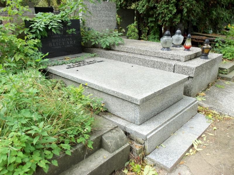 Zdjęcie grobu Zofia Blicharz (1)
