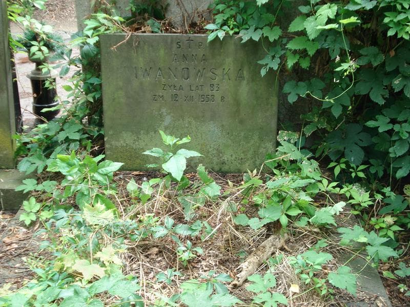 Zdjęcie grobu Anna Iwanowska (2)