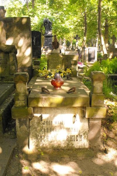Zdjęcie grobu Henryka Kochanowska (1)