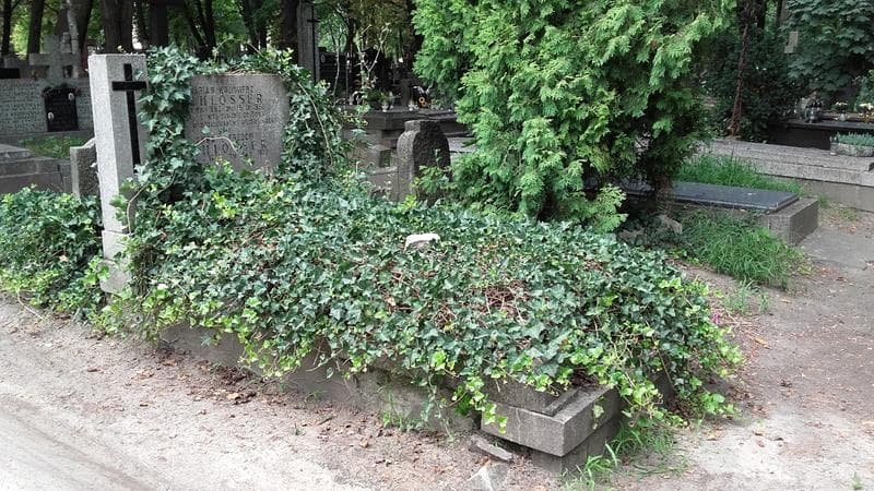 Zdjęcie grobu: Marian Kazimierz Schlosser